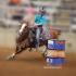 Battle in the Saddle